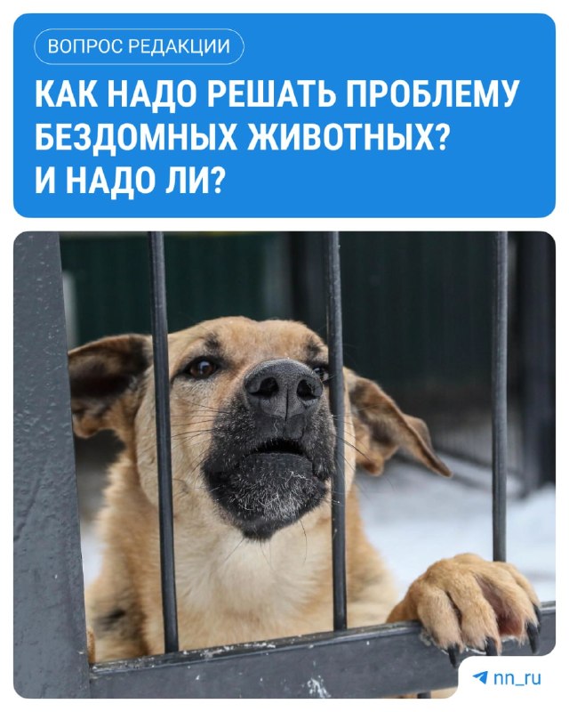 Фото поста канала  Мониторинг 52 Нижегородская область