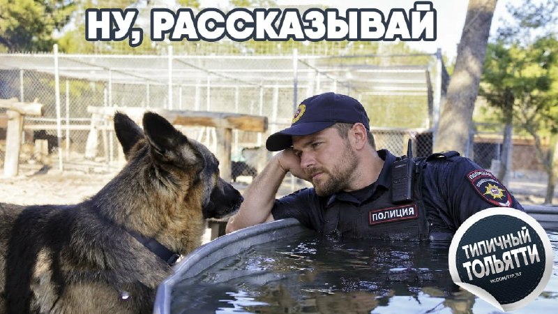 Фото поста канала  Типичный Тольятти | Новости