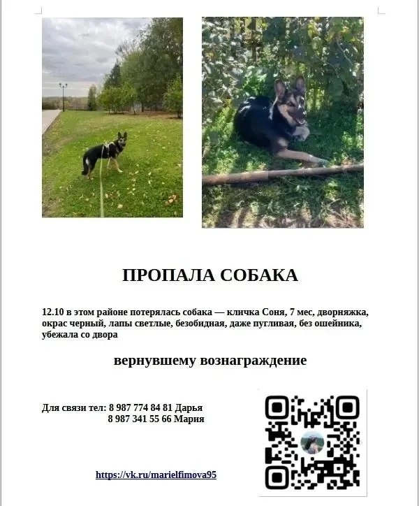 Фото поста канала  Оренбург онлайн | Новости