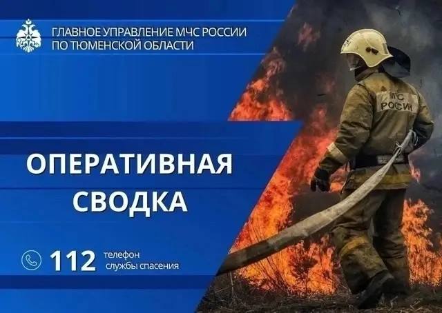 Фото поста канала  Типичный Тобольск