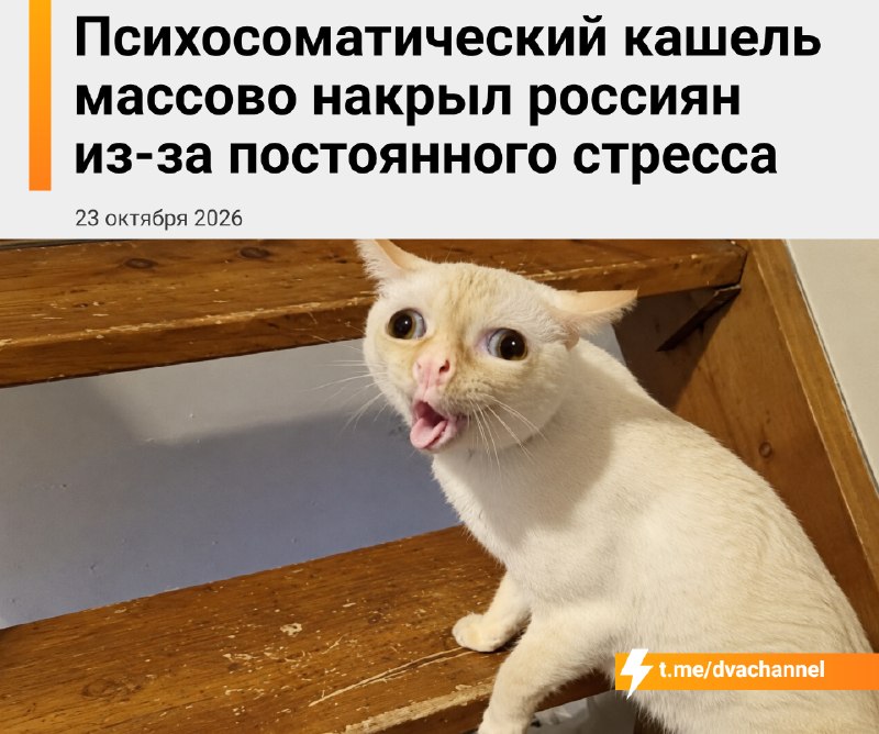 Фото поста канала Двач