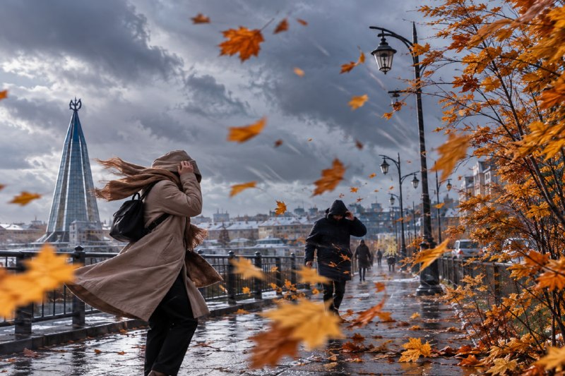 Фото поста канала  САЛЕХАРД онлайн
