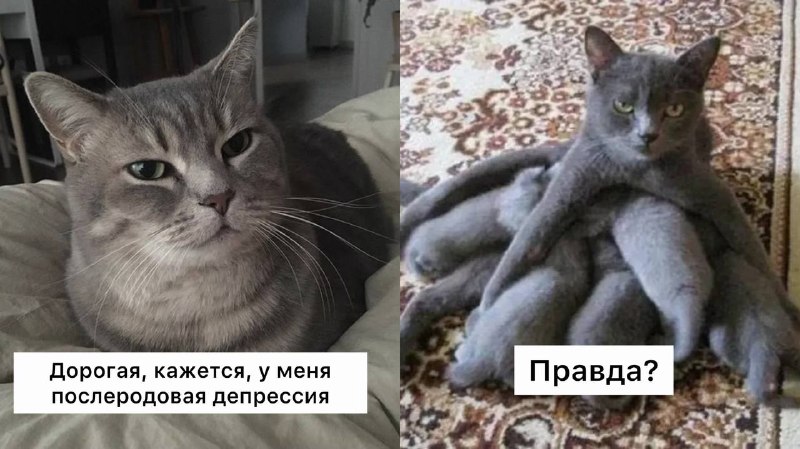 Фото поста канала Москва с огоньком