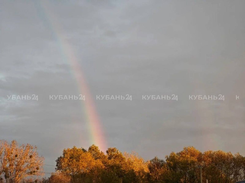 Фото поста канала  Кубань 24