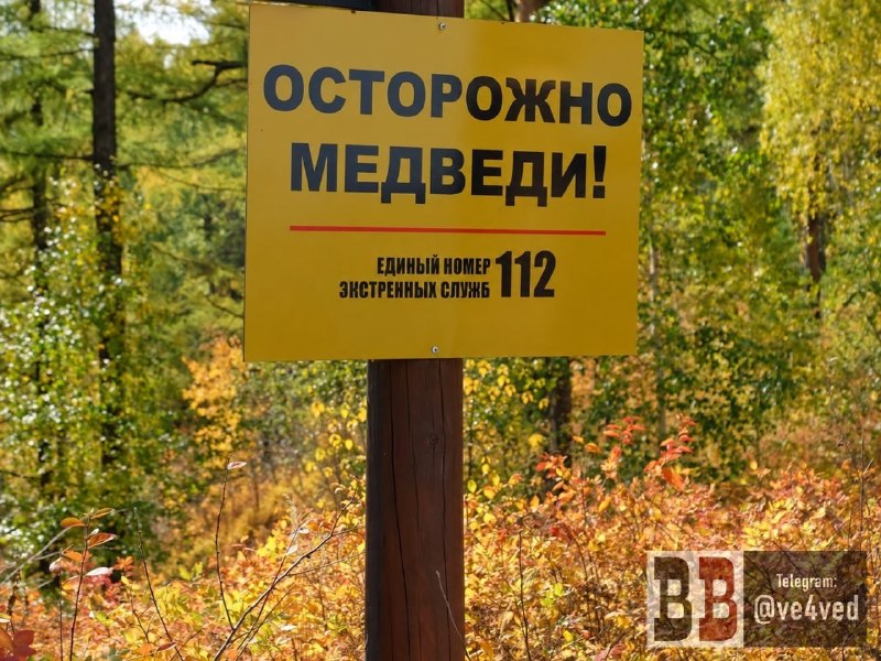 Фото поста канала  Мониторинг 66 Свердловская область