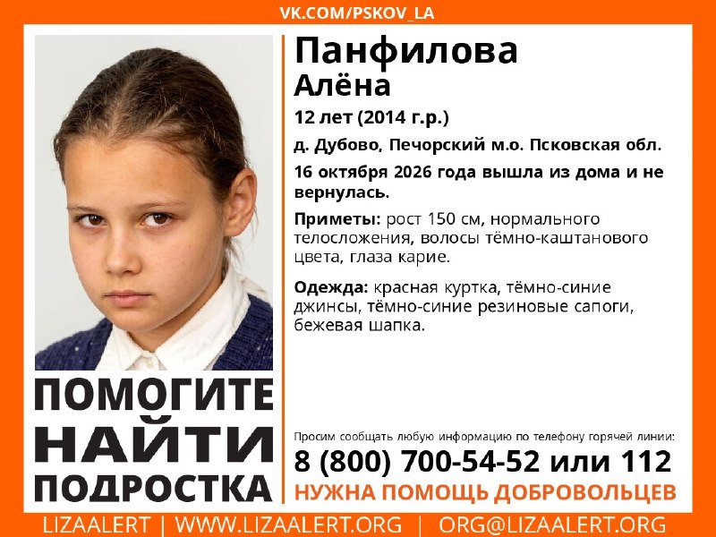 Фото поста канала  Псковское Агентство Информации