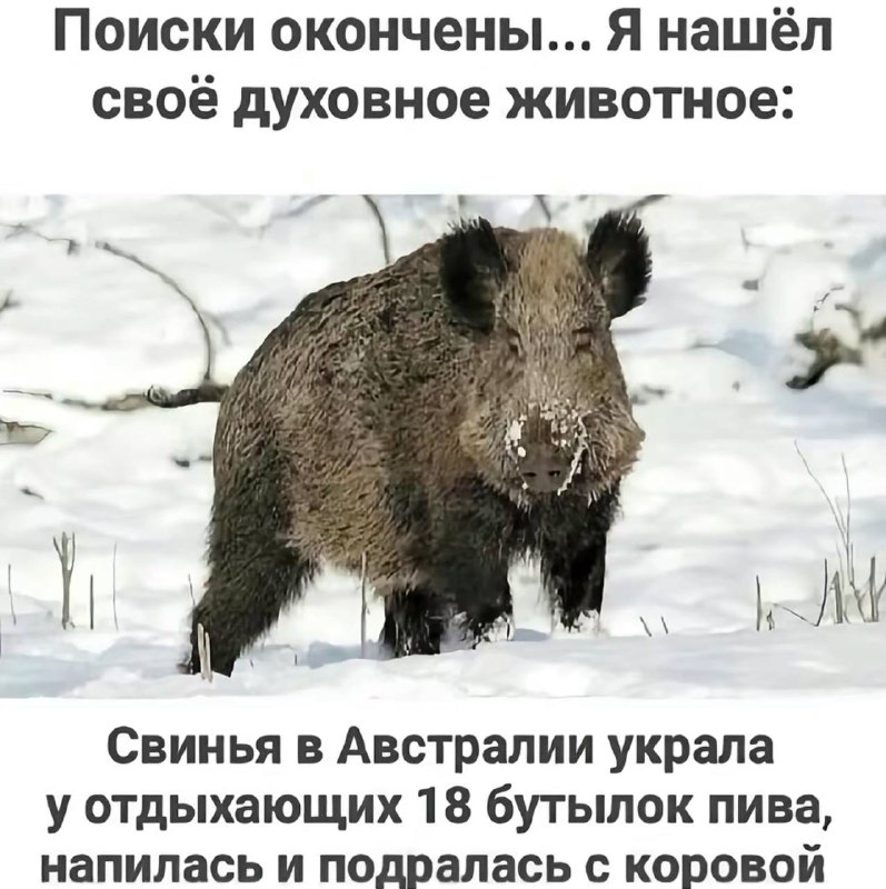 Фото поста канала Анекдоты | Мемы | Юмор 🍒