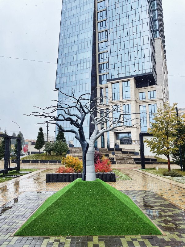 Фото поста канала Инцидент Новосибирск