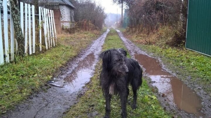 Фото поста канала  ЗИ - ЗЛОЙ ИЖЕВЧАНИН / НОВОСТИ УДМУРТИИ и Ижевска
