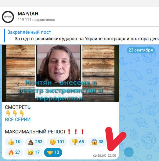 Фото поста канала  Вован Лесоруб и Енот Бандит