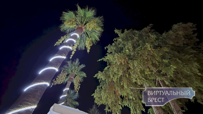 Фото поста канала  Виртуальный Брест новости