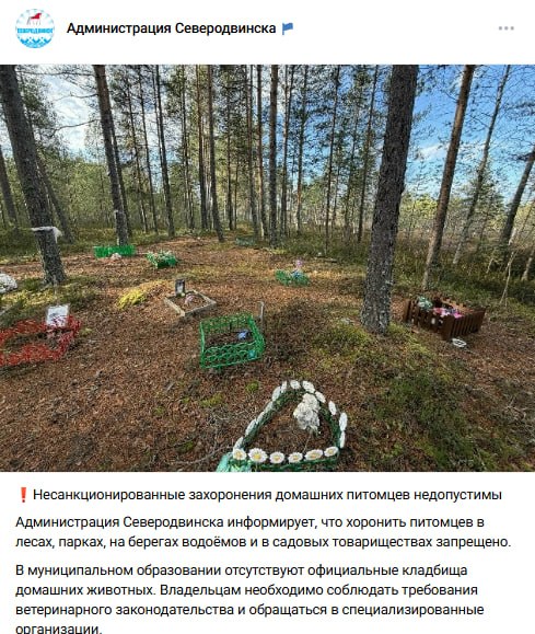 Фото поста канала  Экология Поморья. Северо-Запад