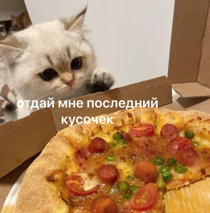 Фото поста канала  Москва сегодня