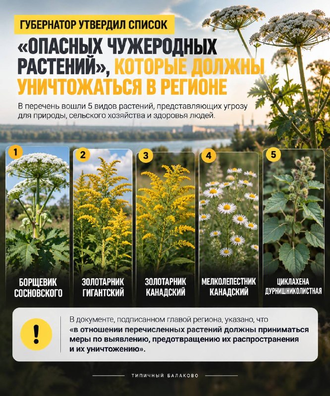Фото поста канала  Типичный Балаково (18+)