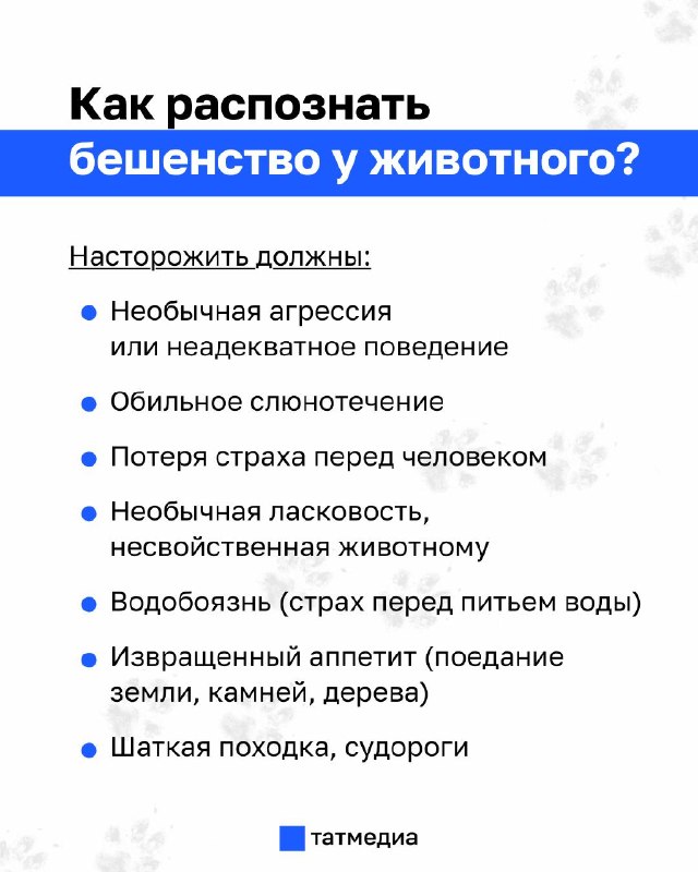Фото поста канала  ТАТМЕДИА | Новости Казани и Татарстана