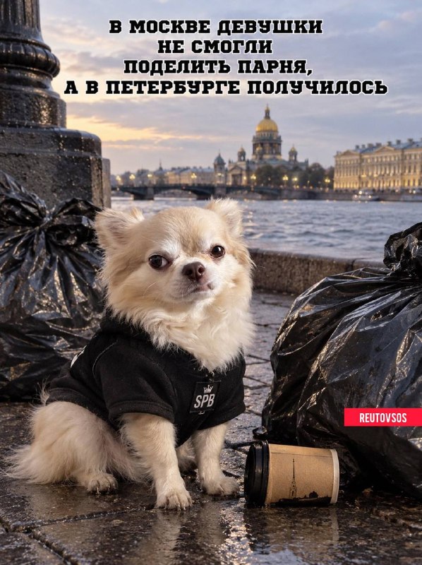 Фото поста канала  💣Реутов SOS Новости