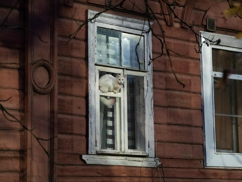 Фото поста канала  Бумага: всё о Петербурге