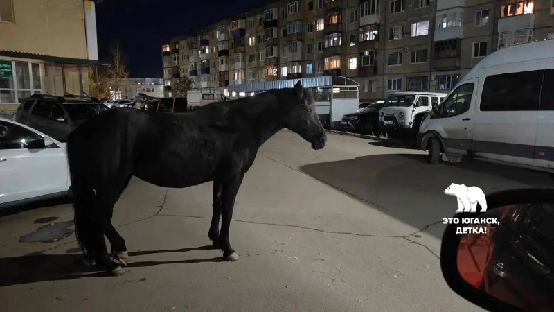 Фото поста канала  Это Юганск, детка!