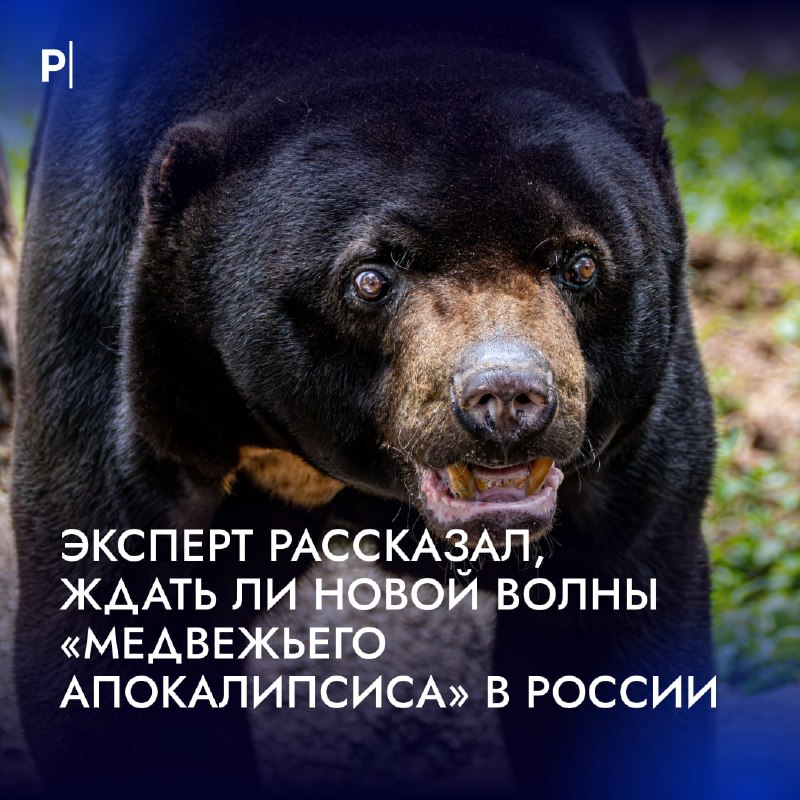 Фото поста канала  PostNews