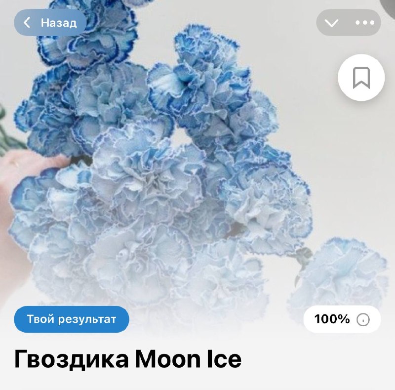 Фото поста канала Тесты и точка.