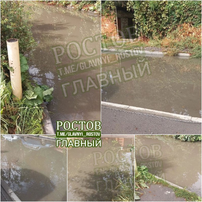 Фото поста канала  Ростов Главный новости