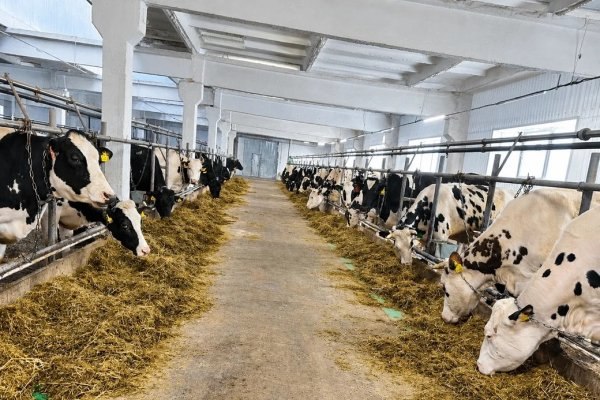 Фото поста канала  Комиинформ