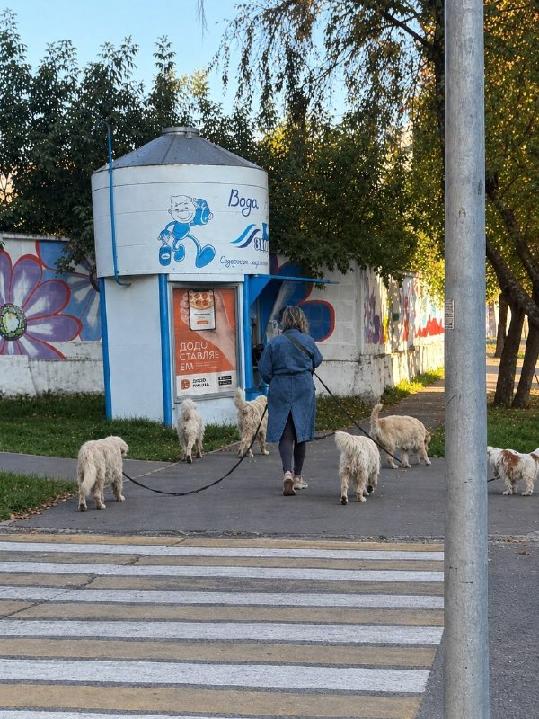 Фото поста канала  Кировчано