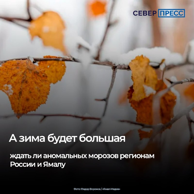 Фото поста канала  Мониторинг 89 Ямало-Ненецкий АО