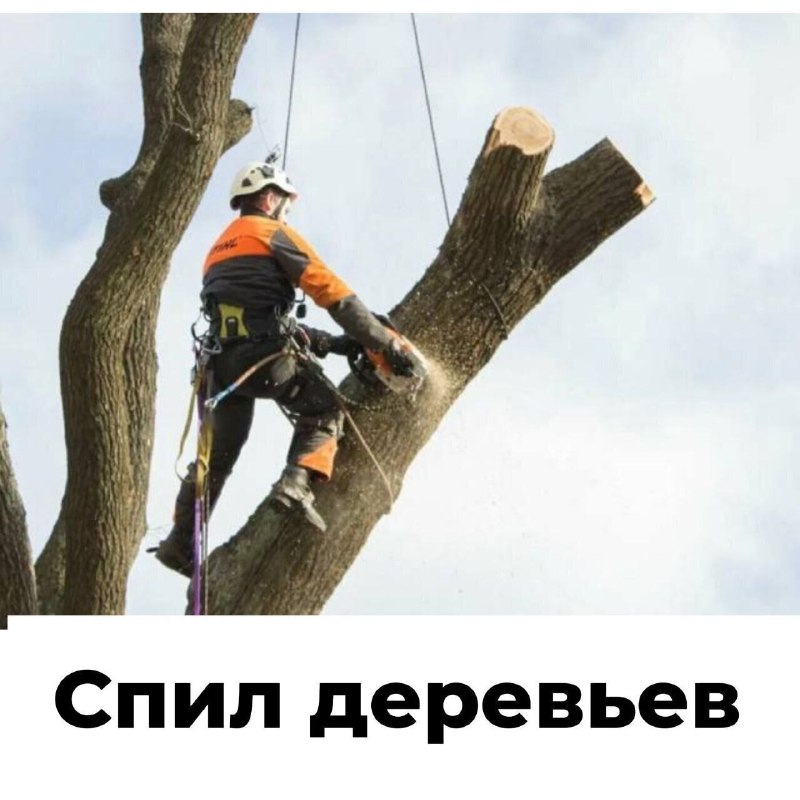 Фото поста канала  Лабинск Онлайн Новости 🇷🇺