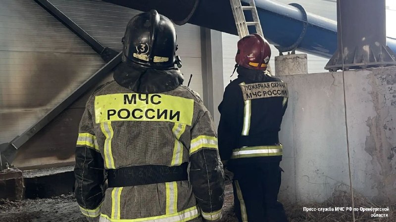 Фото поста канала Новости Оренбурга и Области