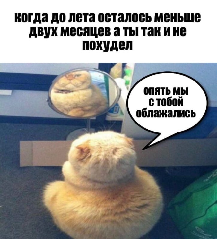 Фото поста канала Спортсмен