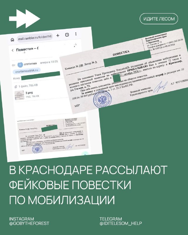 Фото поста канала Идите лесом!