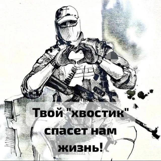 Фото поста канала  Кот канал-Z 🧌