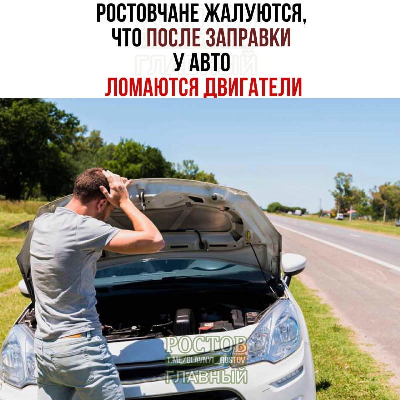 Фото поста канала  Ростов Главный новости