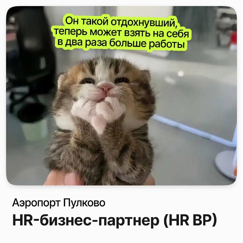 Фото поста канала careerspace