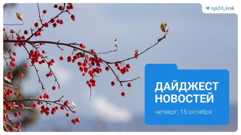 Фото поста канала  Мониторинг 24 Красноярский край