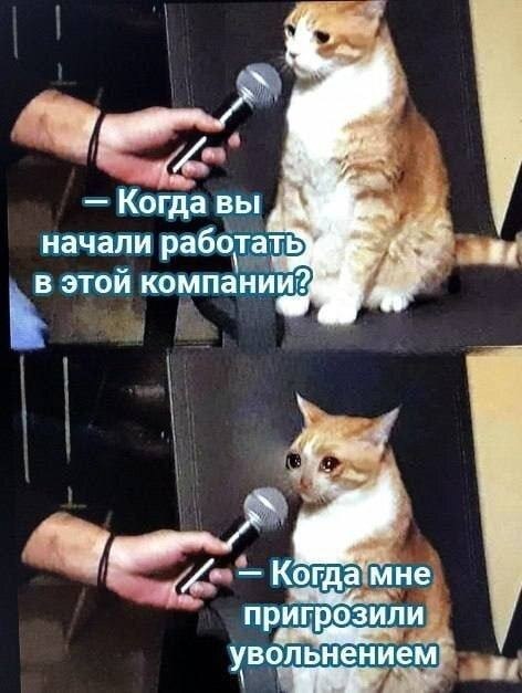 Фото поста канала  Буратино в гестапо