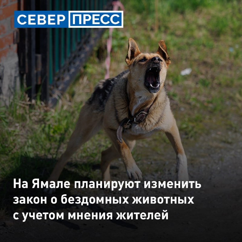 Фото поста канала  Мониторинг 89 Ямало-Ненецкий АО