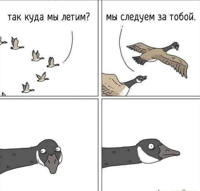 Фото поста канала  (Резерв) Новости и Сводки ДНР