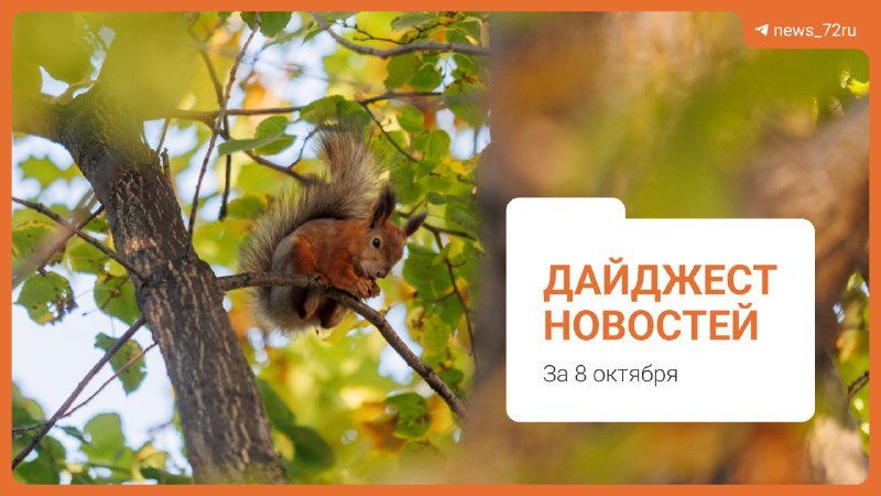 Фото поста канала  Новости Тюмени | 72.RU