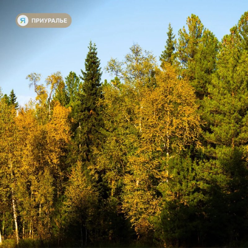 Фото поста канала  Мы из Приуралья