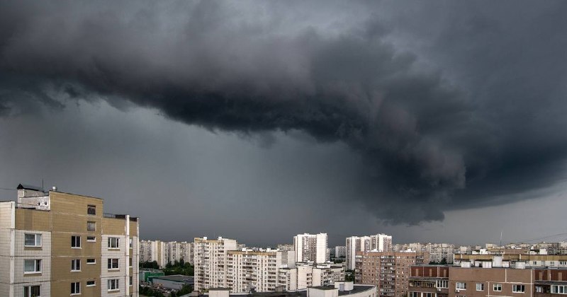 Фото поста канала TrendWatching