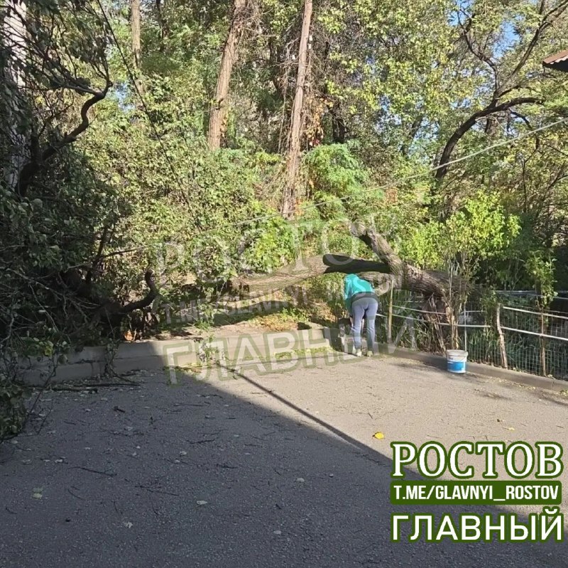 Фото поста канала  Ростов Главный новости