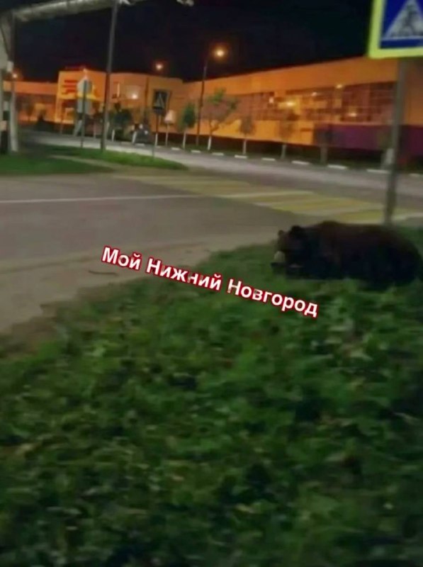 Фото поста канала  Нижний Новгород БЕЗ ЦЕНЗУРЫ