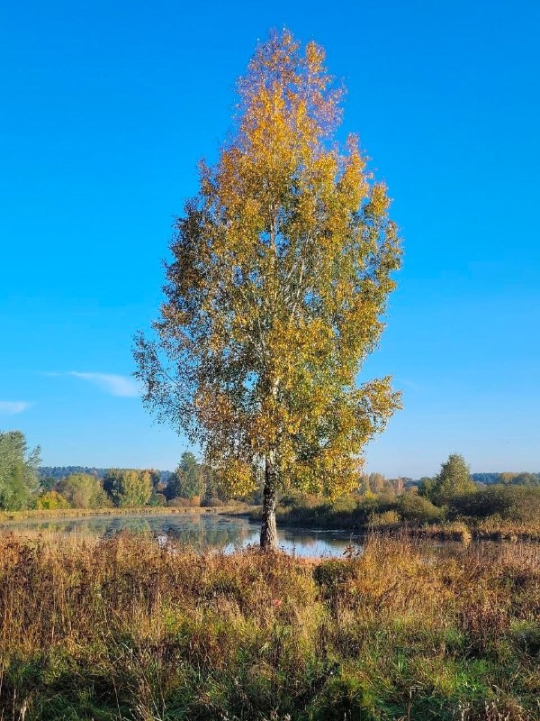 Фото поста канала  Ок, Коломна: