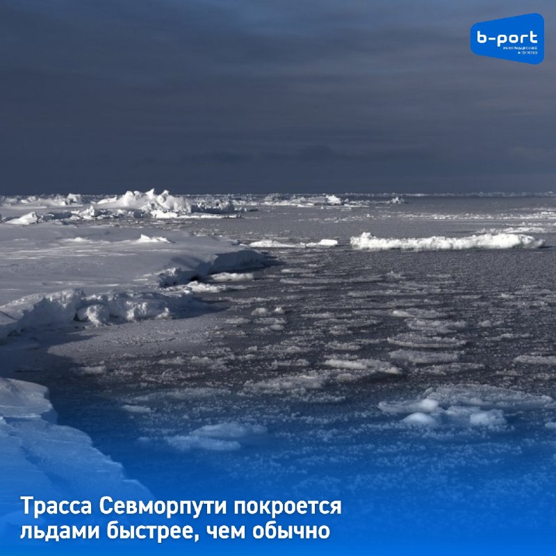 Фото поста канала  Мониторинг 51 Мурманская область