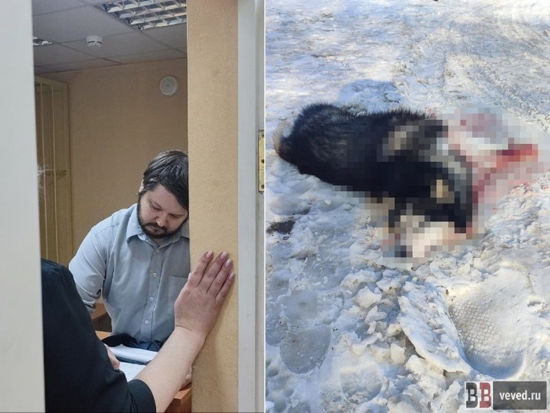 Фото поста канала  Мониторинг 66 Свердловская область