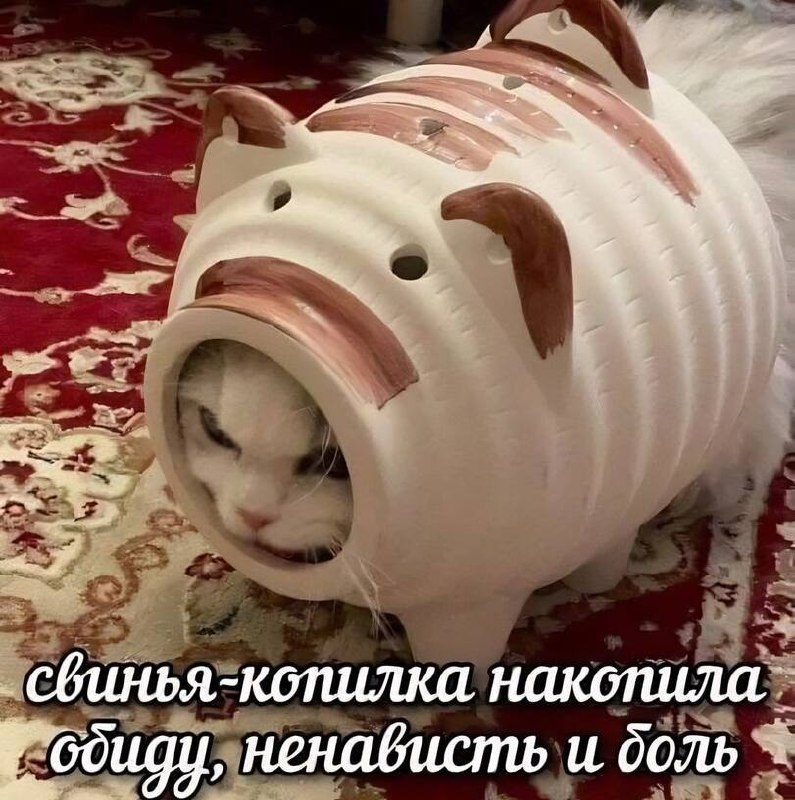 Фото поста канала  Типичный Воронеж | Новости Воронежа