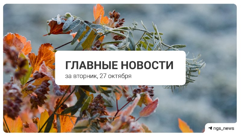 Фото поста канала НГС — новости Новосибирска