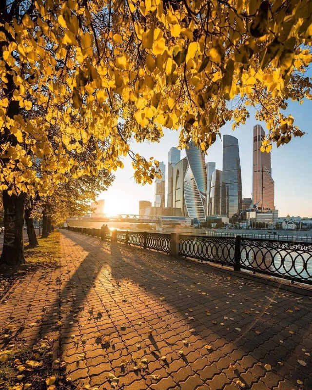 Фото поста канала Москва Live